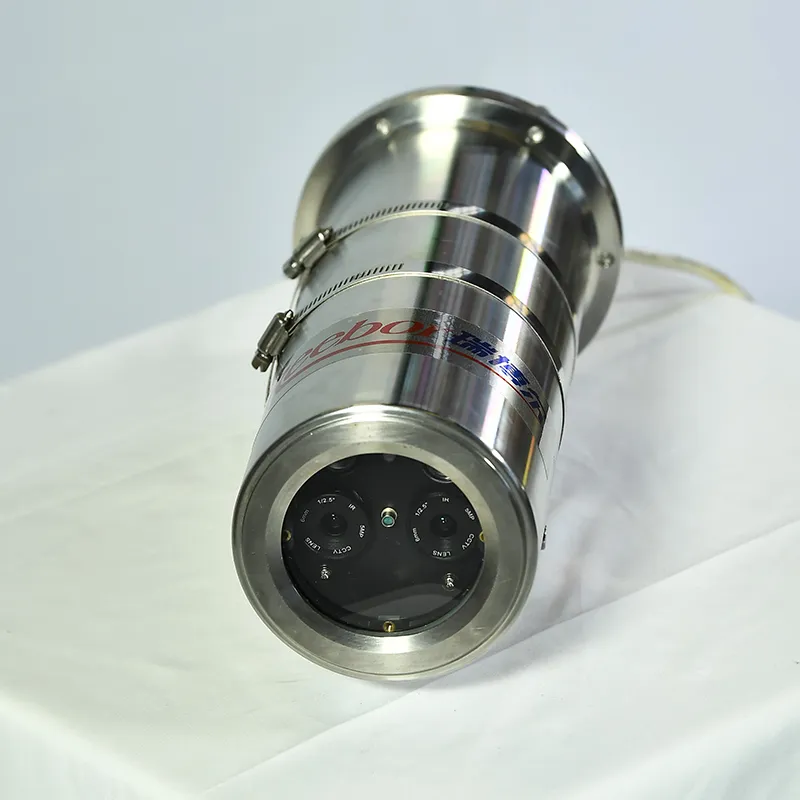 VFD-RBR12-2 (Основная модель) Взрывозащищенный (3)